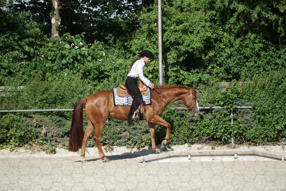 s_APF06852.jpg